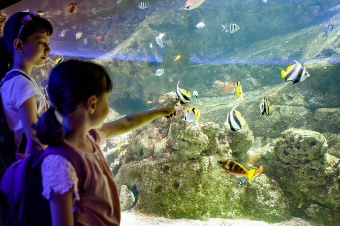 Barcelona City Tour Hop-On Hop-Off and Aquarium - Frequently Asked Questions