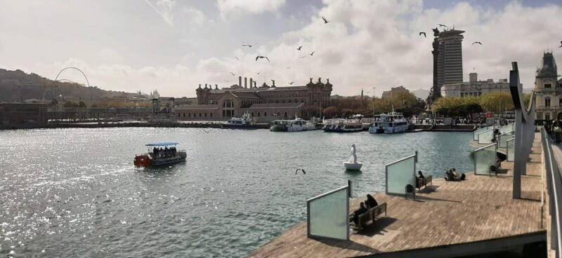 Barcelona: City Views Catamaran Cruise with Music - Why This Cruise Works for Travelers