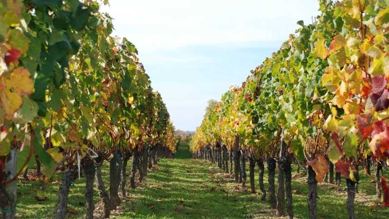 Barcelona: Coastline E-Bike and Wine Tasting Tour - Key Points