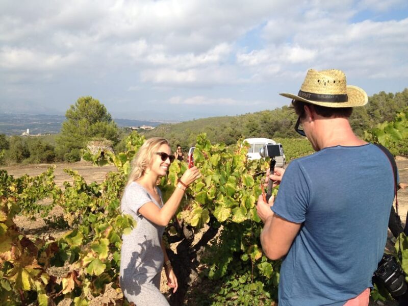 Barcelona: Coastline E-Bike and Wine Tasting Tour - Final Thoughts: Is This Tour for You?