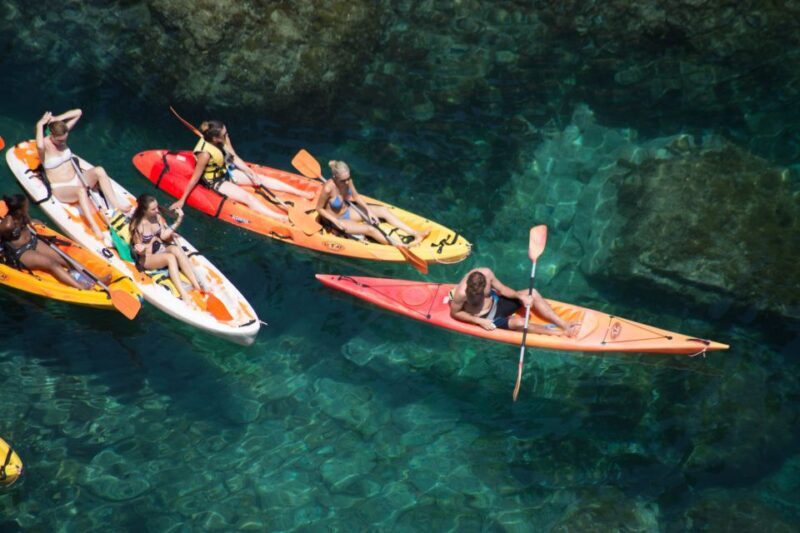 Barcelona: Costa Brava Kayak & Snorkeling Small Group Tour - Snorkeling and Marine Life