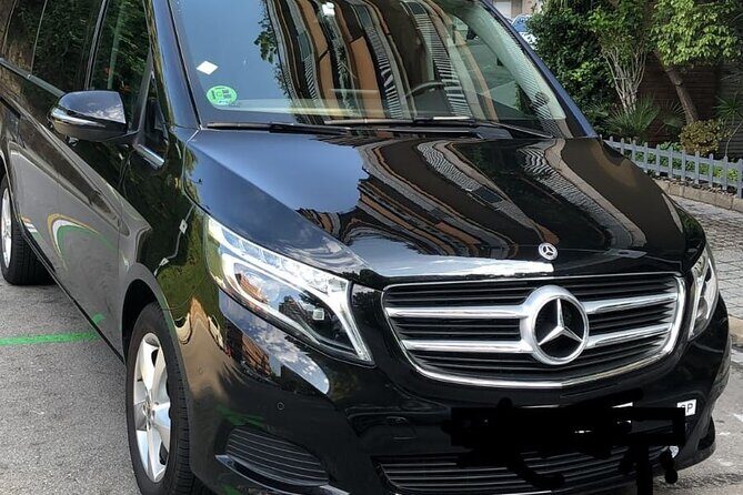 Barcelona Cruise port to barcelona city private transfer - Why Choose This Private Transfer?