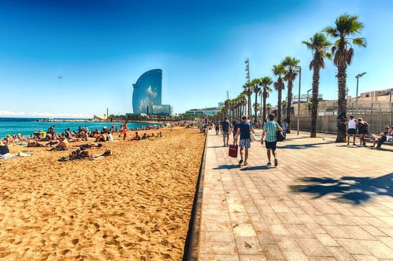 Barcelona: Customizable Guided Bike or Walking Tour - A Thorough Look at the Experience