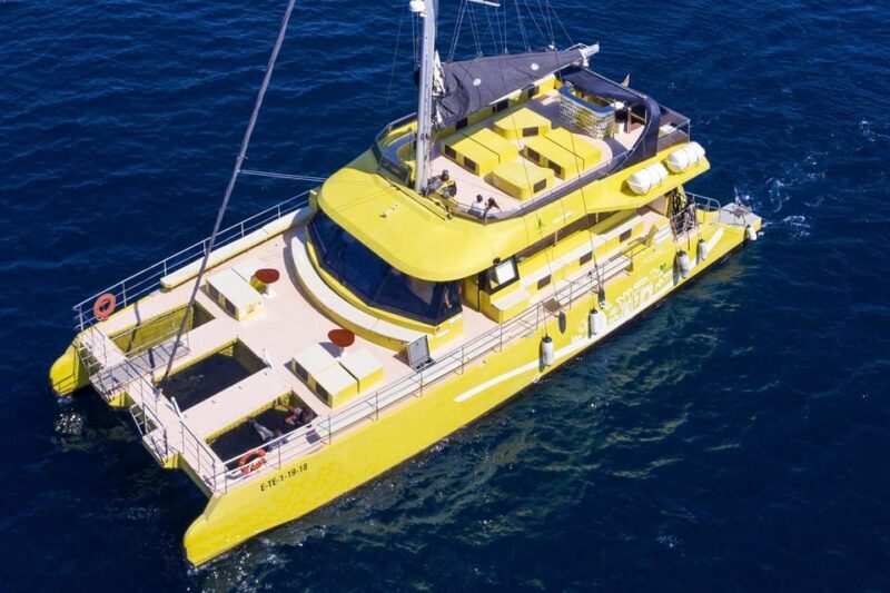 Barcelona: Daytime or Sunset Catamaran Cruise with Music - Authentic Feedback from Travelers