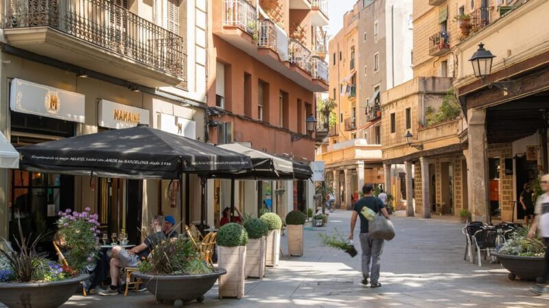 Barcelona: El Born Guided Walking Tour with Picasso Museum - Who Will Love This Tour?