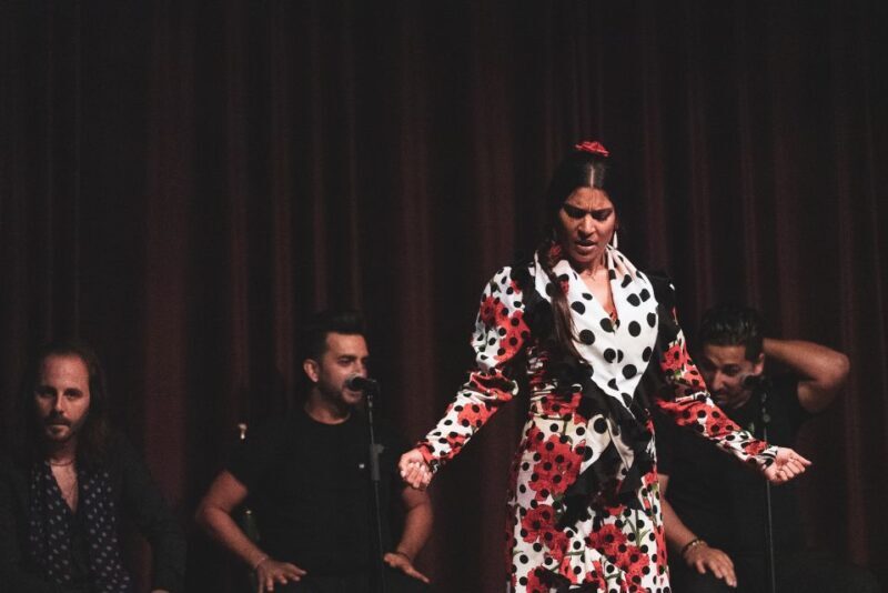 Barcelona: Flamenco Show at Palau Dalmases - Final Thoughts