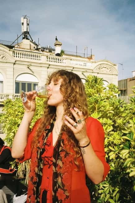 Barcelona: Fun & Unpretentious Rooftop Wine Tasting - Key Points