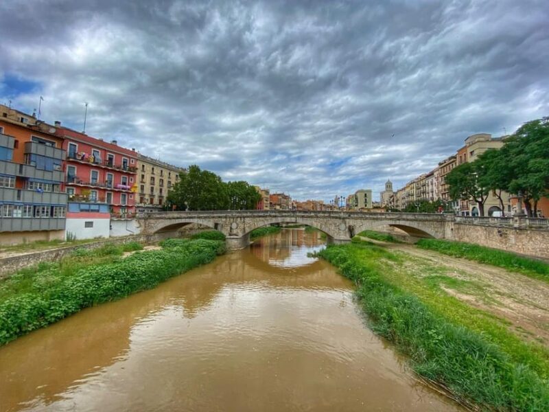 Barcelona: Girona Province Day Trip with Dali Museum Entry - Who Should Consider This Tour?