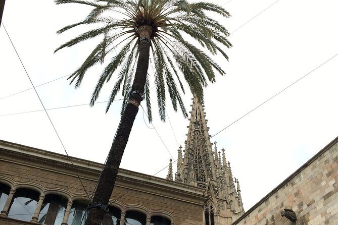 Barcelona Gothic Quarter From Roman Walls to Hidden Courtyards - Discover the Hidden Charms of Barcelona’s Gothic Quarter