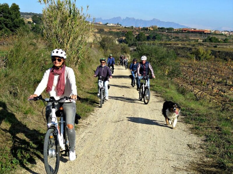 Barcelona: Guided Half-Day Wine and Electric Bike Tour - Authentic Experiences & Authentic Reviews