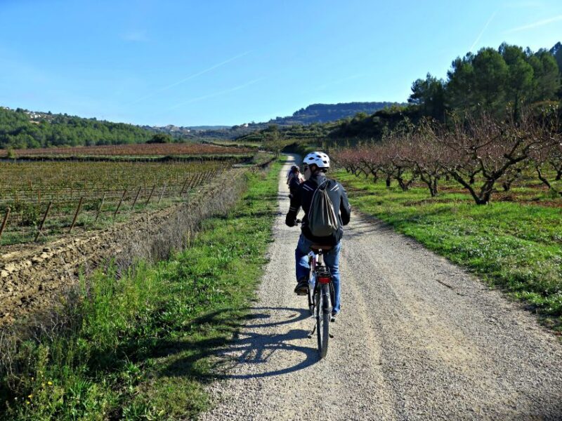 Barcelona: Guided Half-Day Wine and Electric Bike Tour - Who Should Consider This Tour?