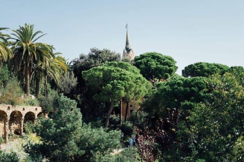 Barcelona: Half-Day Private Tour with Driver - Detailed Review of the Barcelona Private Tour Experience