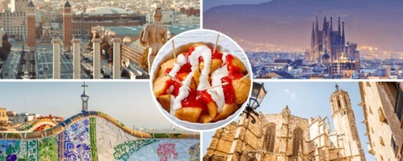Barcelona: Half-Day Private Tour with Driver - The Sum Up