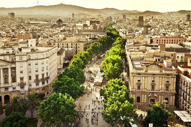 Barcelona Half-Day Sightseeing Private Tour - A Deep Dive into the Barcelona Half-Day Private Tour
