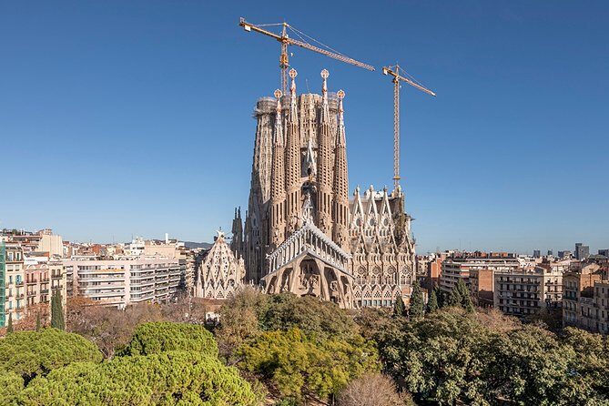 Barcelona Half-Day Sightseeing Private Tour - Who Should Consider This Tour?