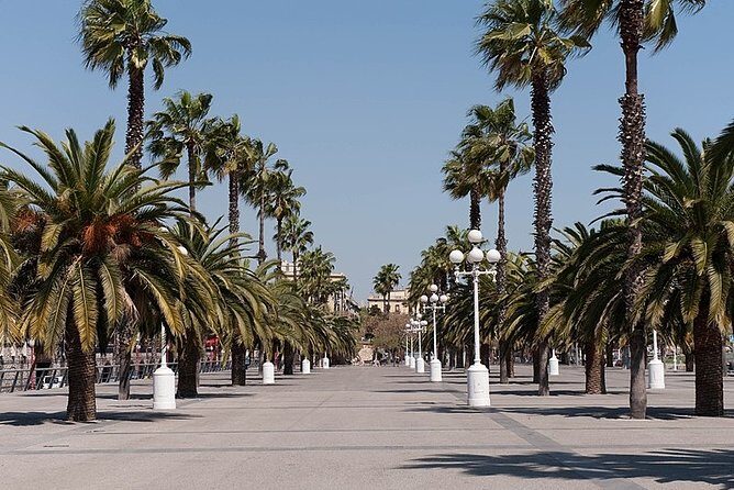 Barcelona Half-Day Sightseeing Private Tour - FAQ