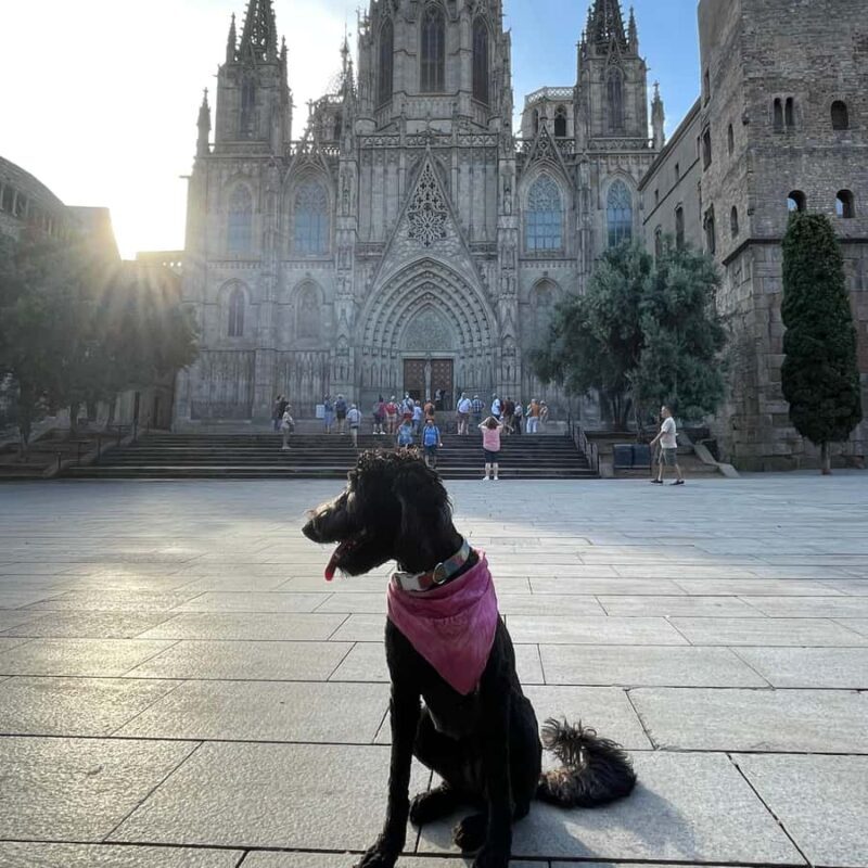Barcelona: Hidden Gems Walking Tour with a Local & Dog - Itinerary in Detail