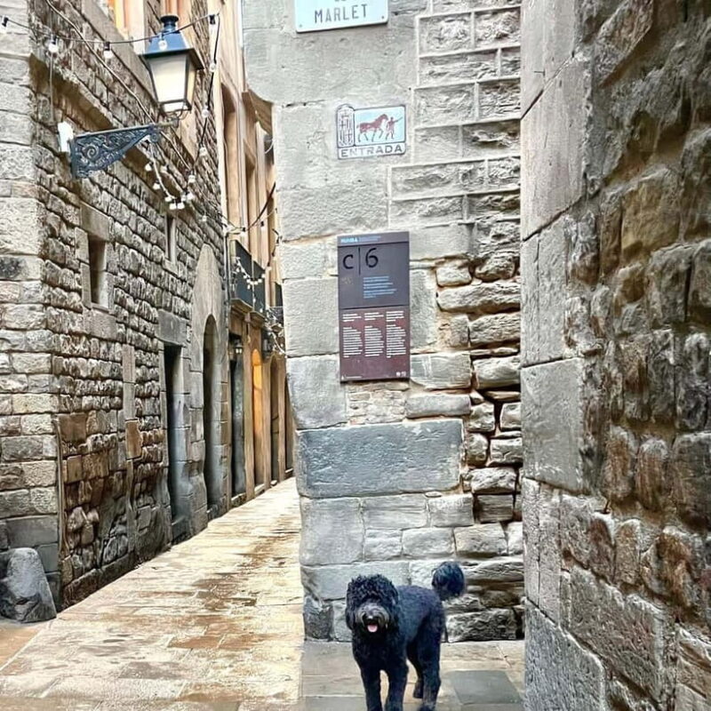 Barcelona: Hidden Gems Walking Tour with a Local & Dog - The Practical Side: What You Need to Know