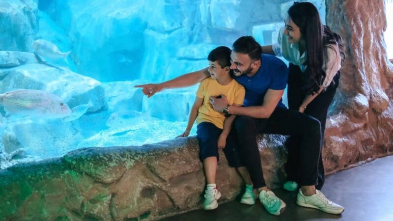 Barcelona: Hop-On Hop-Off Bus & Aquarium Tour - Discovering Barcelona: Hop-On Hop-Off Bus & Aquarium Tour