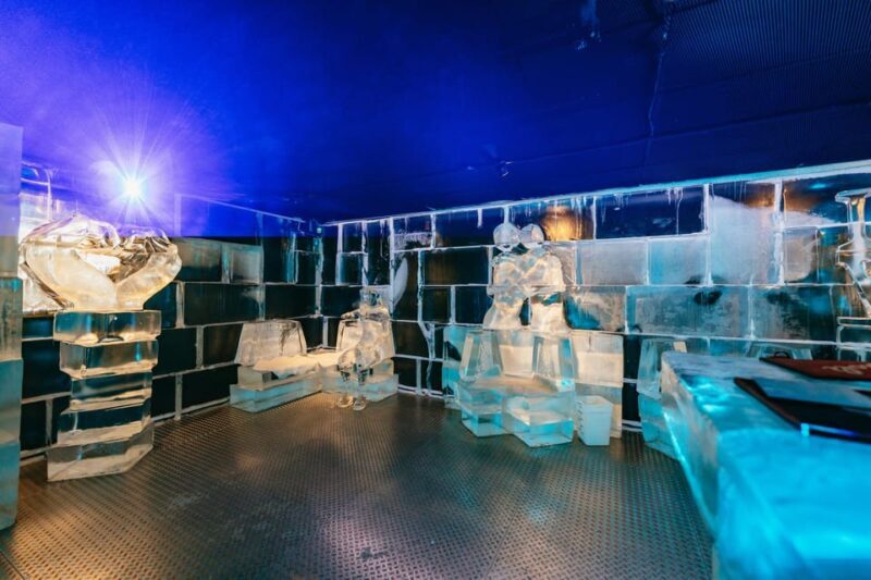 Barcelona: Ice Bar Experience Entry Ticket with 1 Drink - Practical Tips for Visiting