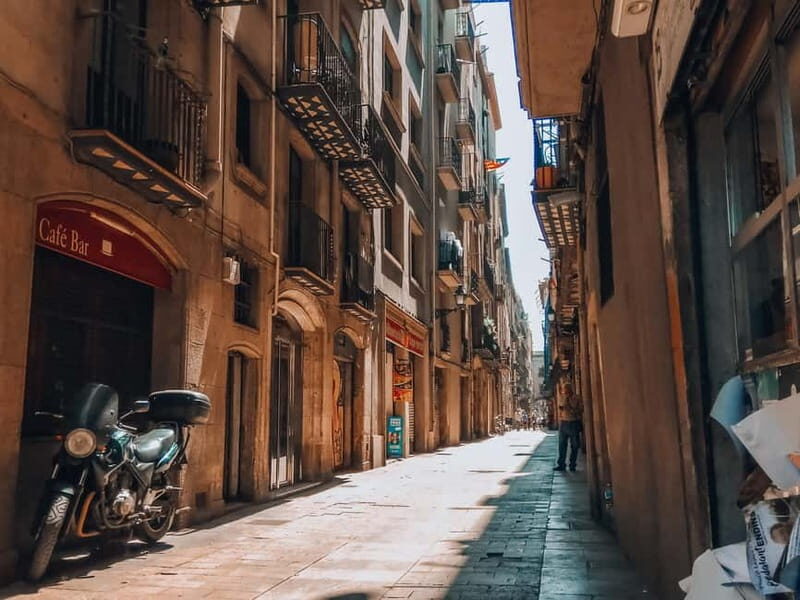 Barcelona: Introduction to the Gothic Quarter Walking Tour - A Deep Dive into the Gothic Quarter Walking Tour