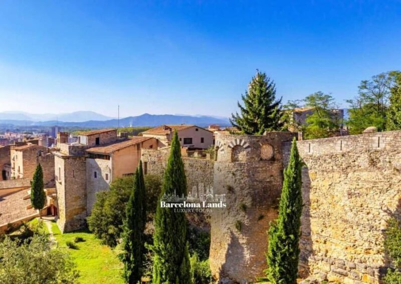 Barcelona: Luxury Dalí y Girona Tour - Key Points