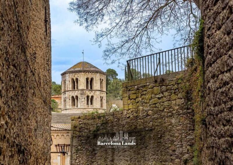 Barcelona: Luxury Dalí y Girona Tour - Who Will Love This Tour?