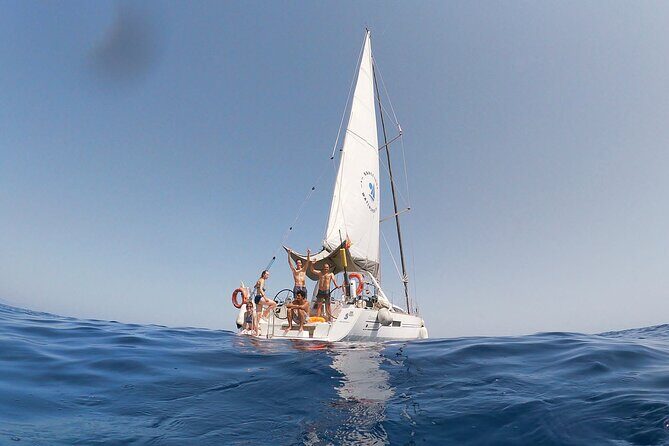 Barcelona: Mediterranean Sailing Experience with Open Bar - Key Points