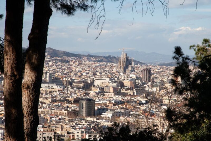 Barcelona: Montjuïc Walking Tour With Optional Flamenco Show - A Closer Look at the Montjuïc Walking Tour