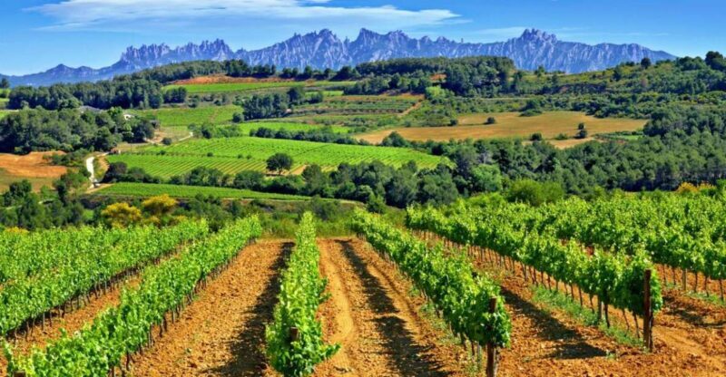 Barcelona: Montserrtat Hike and Winery Tour with Tasting - A Full Day of Nature, Culture, and Wine: The Montserrat Hike and Winery Tour