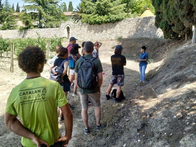 Barcelona: Montserrtat Hike and Winery Tour with Tasting - Key Points