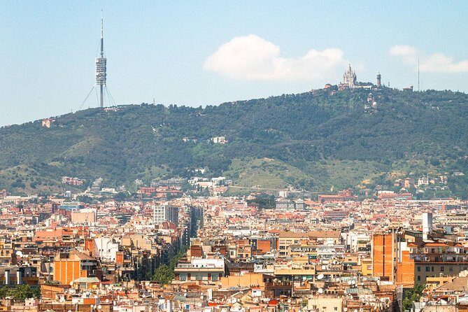 Barcelona Old Town Walking Tour & Panoramic Views - Experience the Heart of Barcelona: Old Town & Panoramic Views Walking Tour