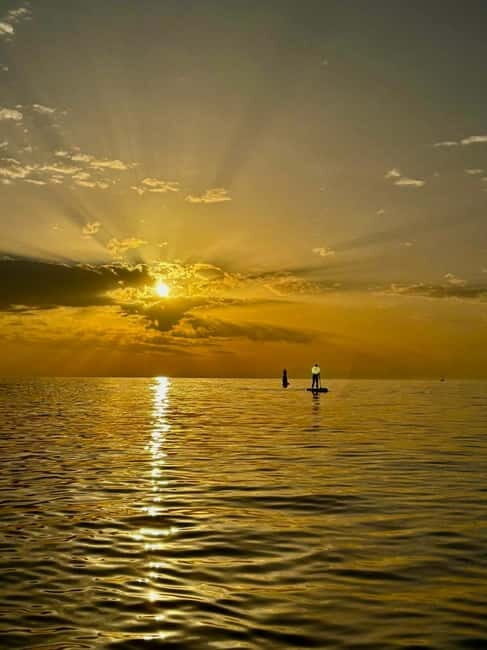 Barcelona: Paddleboarding at Sunrise. Includes: instructor, photos, equipment - Final Thoughts: Is It Worth It?