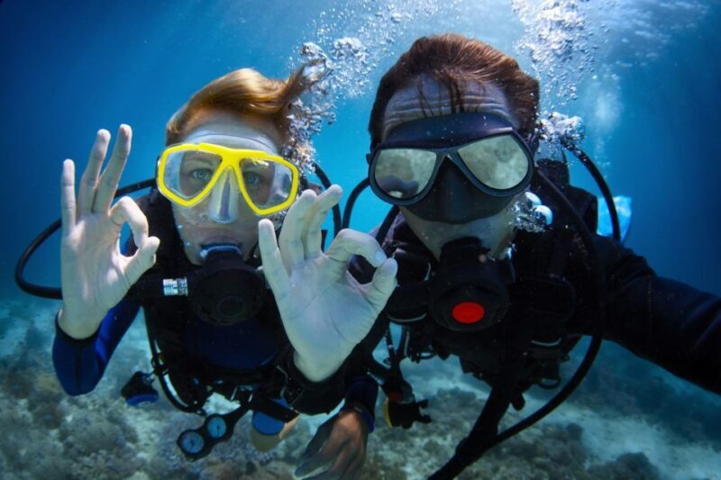 Barcelona: PADI Discover Scuba Diving - Why This Tour Offers Great Value