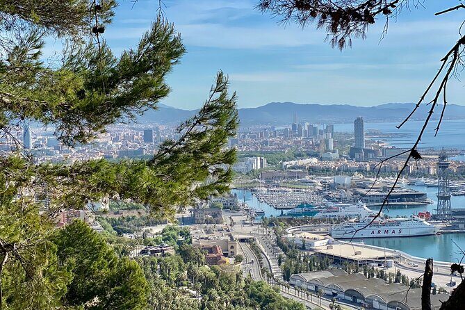 Barcelona Panoramic Walking Tour - Discover Montjuic - Final Thoughts