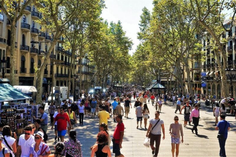 Barcelona & Park Güell: Private Half-Day Tour with Pickup - Montjuïc and Panoramic Views