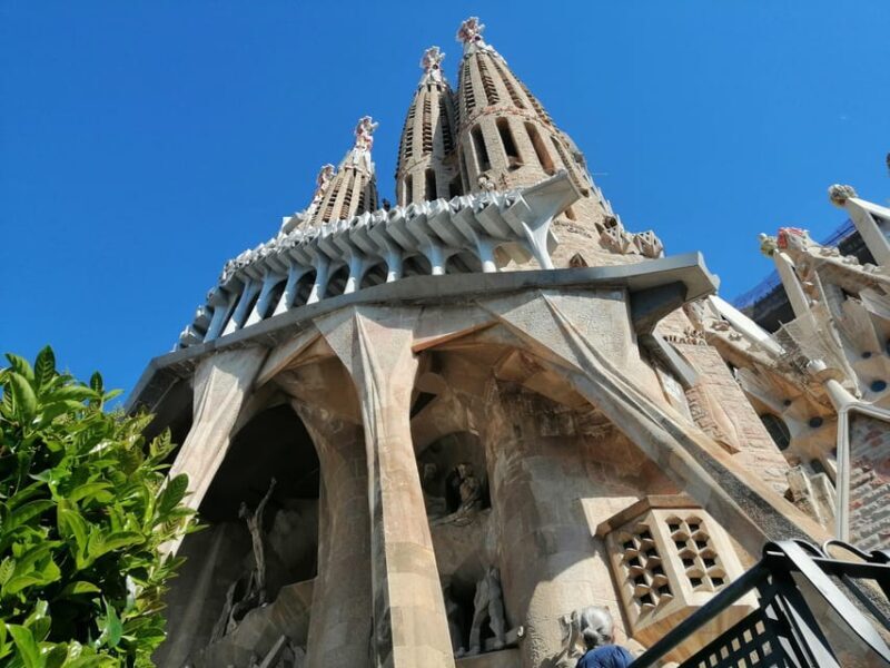 Barcelona: Park Güell Skip-the-Line Guided Tour - The Itinerary in Detail