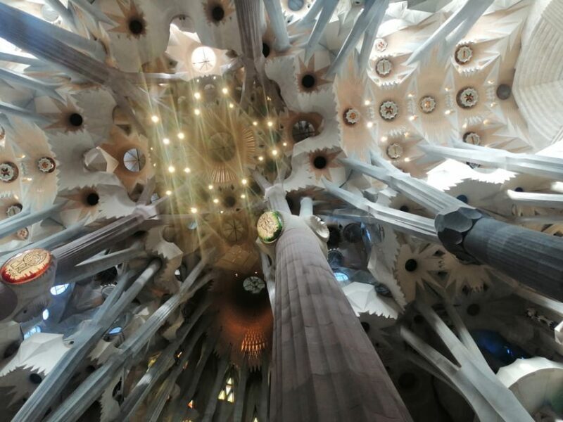 Barcelona: Park Güell Skip-the-Line Guided Tour - FAQ