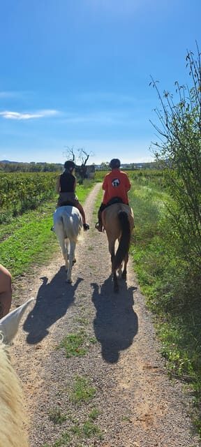 Barcelona: Penedès Vineyard Horseback Ride with Wine Tasting - Exploring the Penedès Vineyard Horseback Ride with Wine Tasting