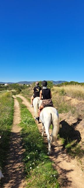 Barcelona: Penedès Vineyard Horseback Ride with Wine Tasting - Final Thoughts
