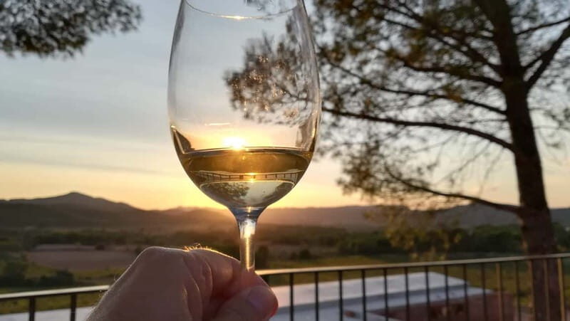 Barcelona: Penedes Wine Tasting Tour with Lunch - Exploring the Penedes Wine Region: What You Can Expect
