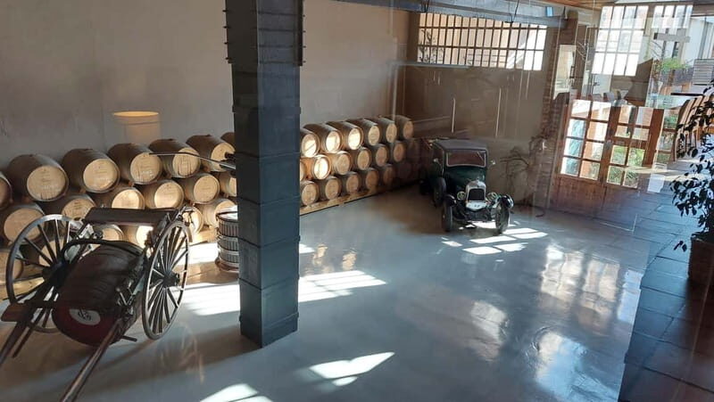 Barcelona: Penedes Wine Tasting Tour with Lunch - The Value of the Experience