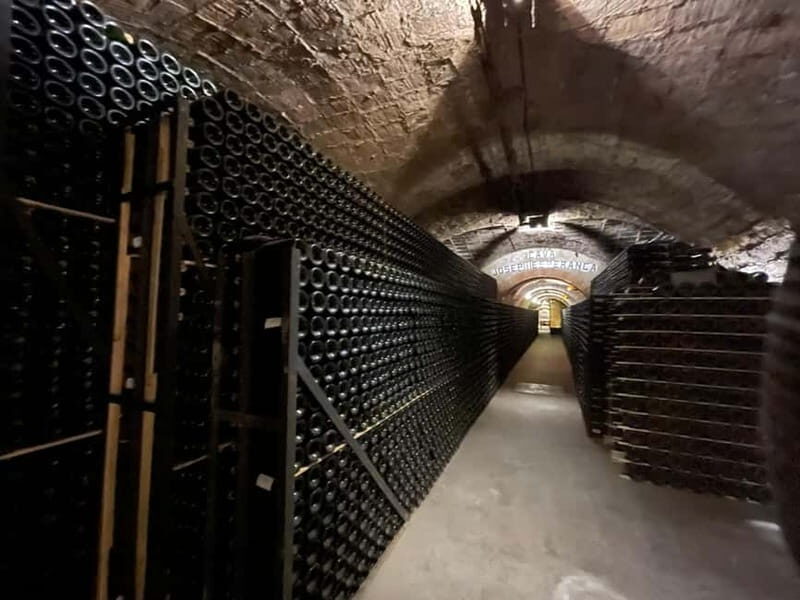 Barcelona: Penedes Wine Tasting Tour with Lunch - Who Would Love This Tour?