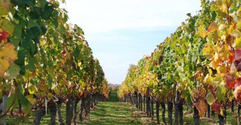 Barcelona: Private E-Bike Tour and Wine Tasting - Considerations and Practical Tips