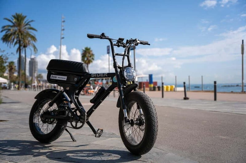 Barcelona: Private E-Fatbike Tour with Local Guide - Key Points