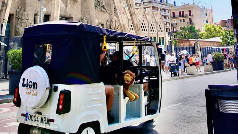 Barcelona: Private Hop-On Hop-Off Lion Tuk Tuk Tour - Key Points