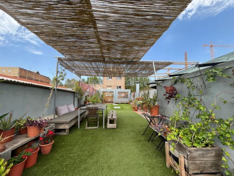 Barcelona: Rooftop Paella Cooking Masterclass - Final Thoughts
