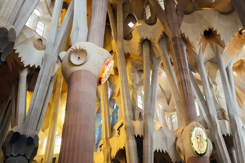 Barcelona: Sagrada Familia Guided Private Tour - Key Points