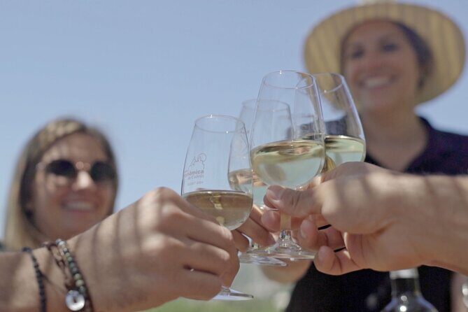 Barcelona Sailing Adventure and Small Group Winery Tasting Tour - What to Expect on the Day