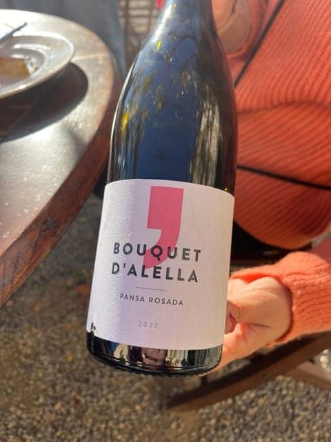 Barcelona: Sailing and Alella Winery Tour with Wine Tasting - Discovering the Best of Coastal Barcelona and Alella Vineyards